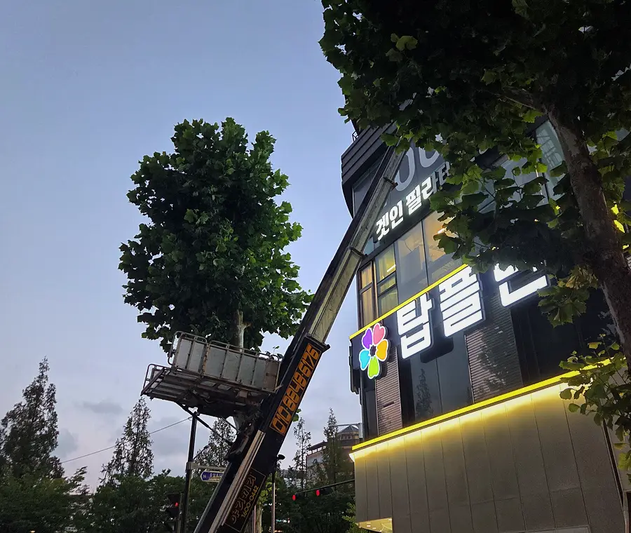 폐기물처리 현장 사진 12